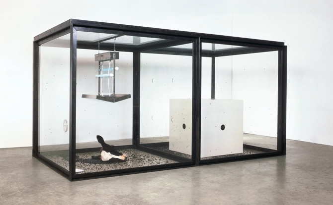 잘린 소머리와 파리 유충, 살충기로 구성된 설치 작품 ‘천 년’.  데이미언 허스트 사이언스 유한회사 제공