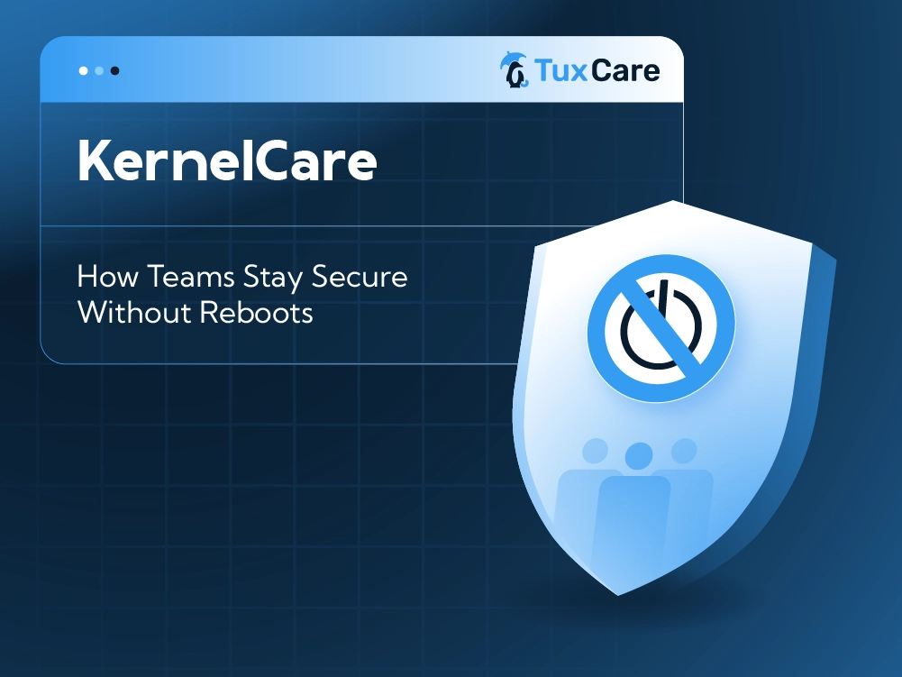 [사진 제공, 쿠도커뮤니케이션 제공 ‘KernelCare’]