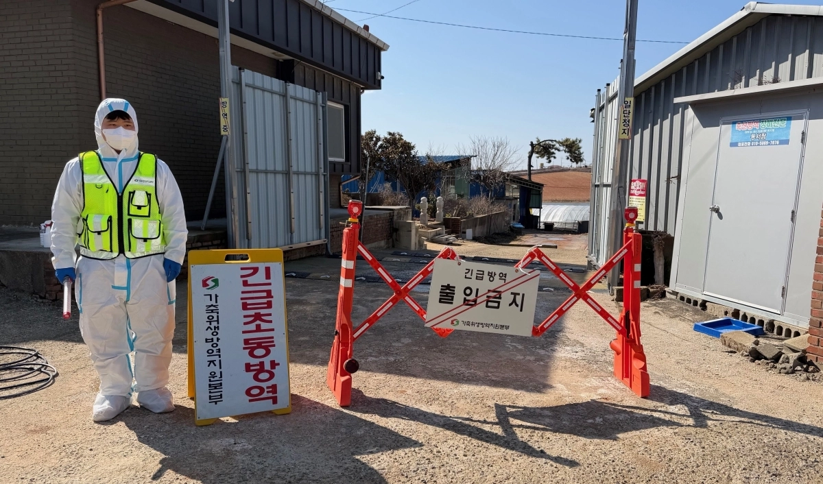 무안군 현경면의 육용오리 농장에서 H5형 조류인플루엔자(AI) 항원이 검출돼 전남도가 19일 방역 활동을 벌이고 있다.