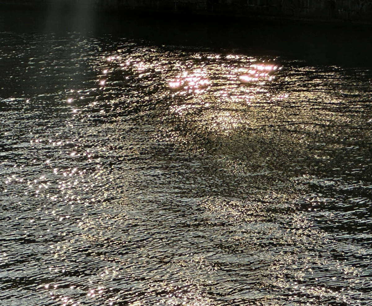 [천태만컷] 빛이 깊어지는 시간