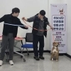 성남 반려견 행동 교정 무료 지원…전문 훈련사 방문까지