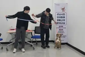 성남 반려견 행동 교정 무료 지원…전문 훈련사 방문까지