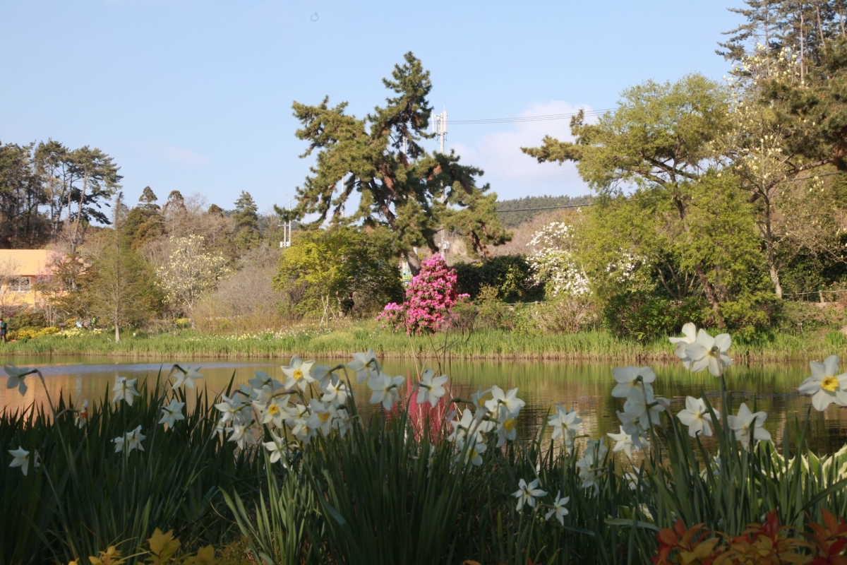 산림청이 가족과 함께 할 수목원으로 선정한 천리포수목원의 큰 연못 정원. 천리포수목원 제공