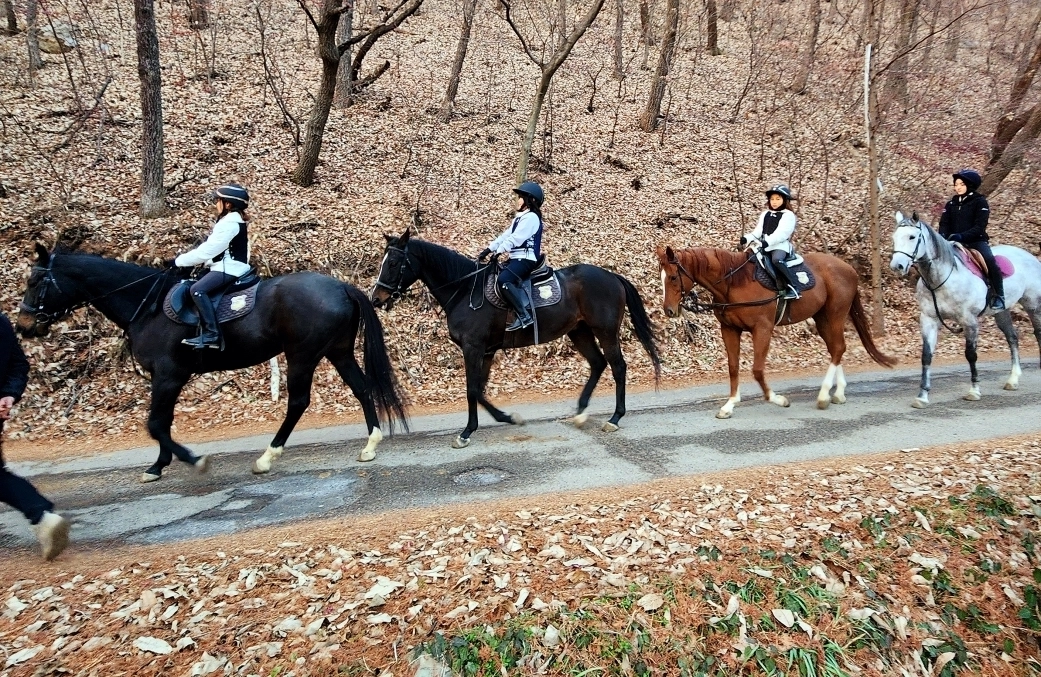 아산시가 운영하는 승마 프로그램. 시 제공