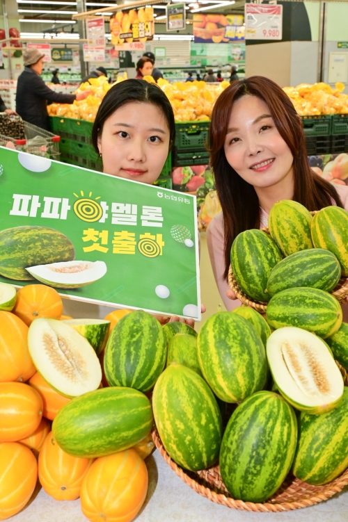 국내산 파파야멜론 먹어 봄? 입안엔 봄!
