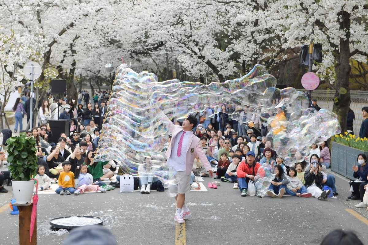 벚꽃이 핀 경북 경주시 대릉원 일원에서 지난해 4월 열린 ‘경주 대릉원돌담길 축제’ 현장. 경주시 제공