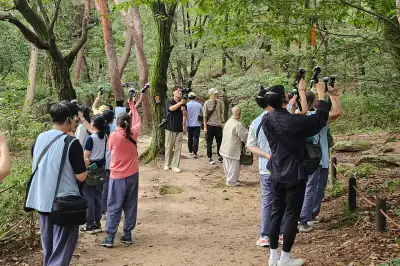 나만 알고 싶은 비밀명소…‘2026년 강북형 웰니스 관광지’ 10곳 공모