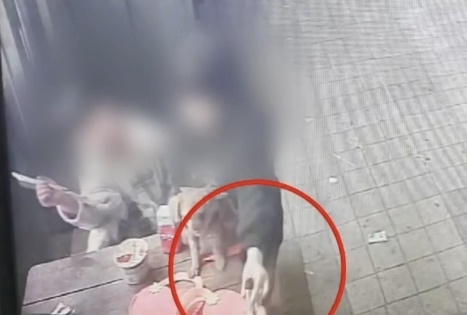 초등학생 딸이 엄마로부터 전자담배를 건네받는 모습. 채널A 뉴스 캡처