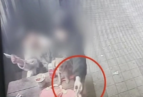 초등학생 딸이 엄마로부터 전자담배를 건네받는 모습. 채널A 뉴스 캡처