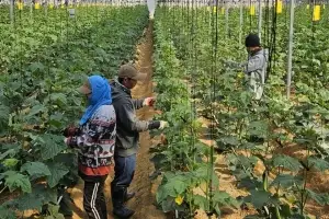 ‘부당 수수료·깜깜이 계약’ 인권침해 심각…경기도인권위, 8대 제도 개선 권고