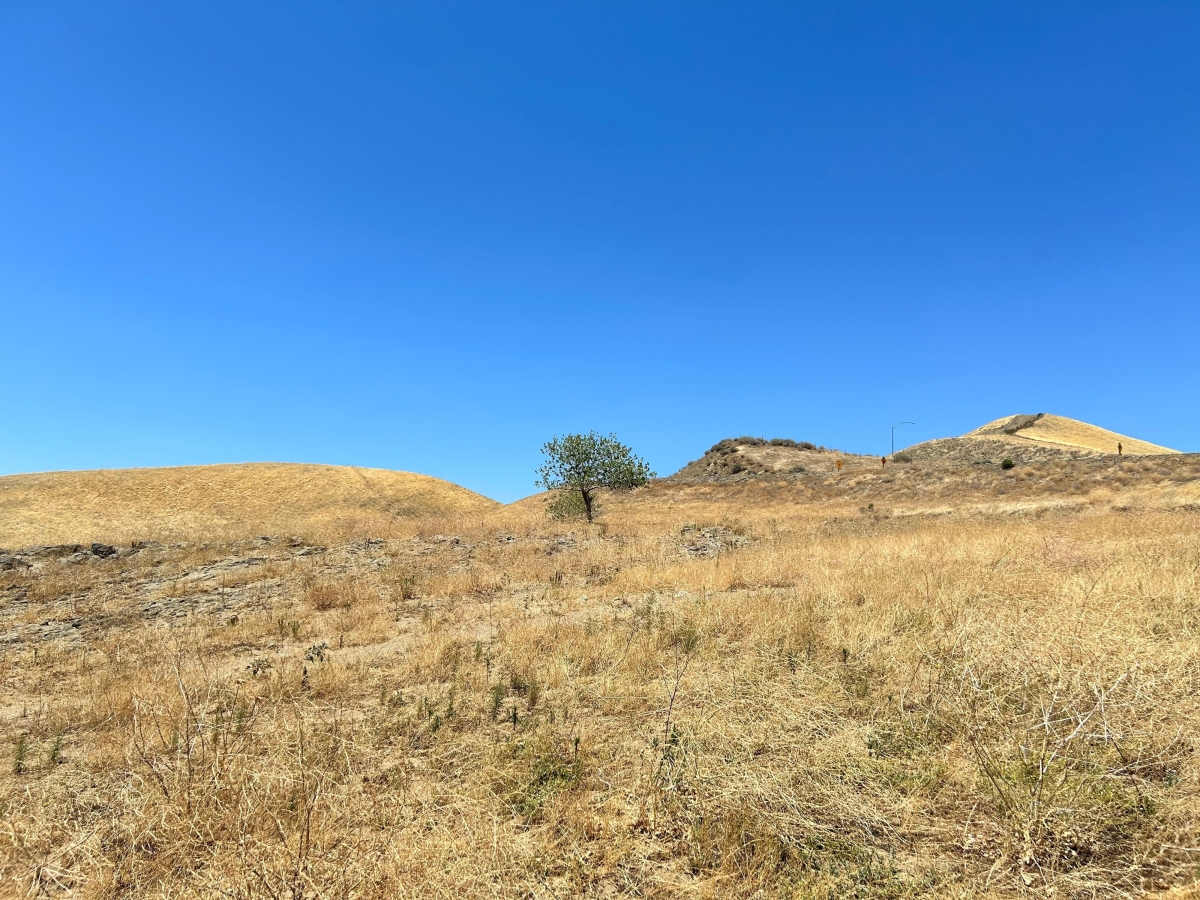 지구 온난화로 인해 각종 기상 재해가 속출한다. 특히 건조한 날씨 때문에 발생하는 가뭄은 항생제 내성을 키우는 요소로 밝혀졌다.  미국 캘리포니아공과대 제공