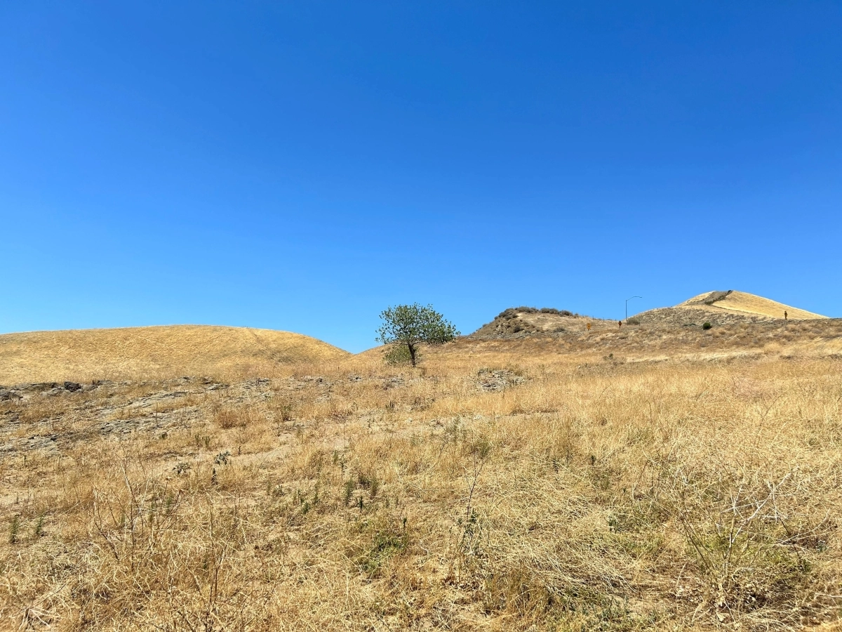 지구 온난화로 인해 각종 기상 재해가 속출한다. 특히 건조한 날씨 때문에 발생하는 가뭄은 항생제 내성을 키우는 요소로 밝혀졌다.  미국 캘리포니아공과대 제공