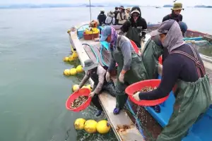 바다로 보낸 홍성 대하·서천 꽃게 종자, ‘풍요’로 돌아와