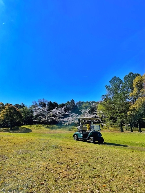 쇼골프가 운영하는 일본 사츠마 골프장. 쇼골프 제공