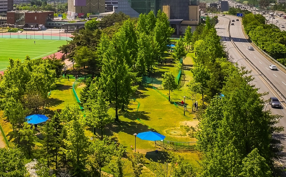 수지구 용인아르피아 파크골프장 전경(용인시 제공)