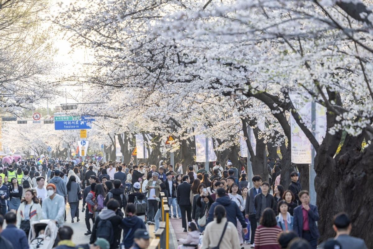 지난해 봄꽃 축제 현장 사진. 영등포구 제공