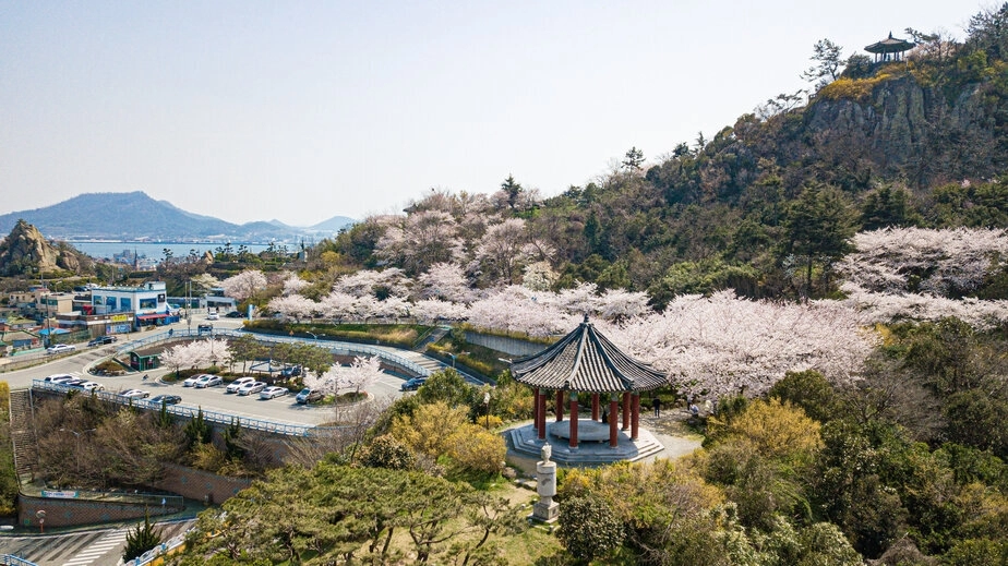 2025년 4월 벚꽃 핀 목포 유달산 전경. (목포시 제공)