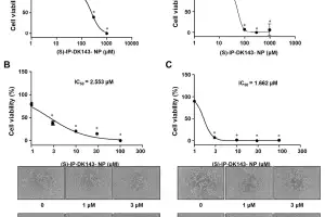 호서대 연구팀, ‘나노항암제’ 자궁경부암 억제 효과 확인
