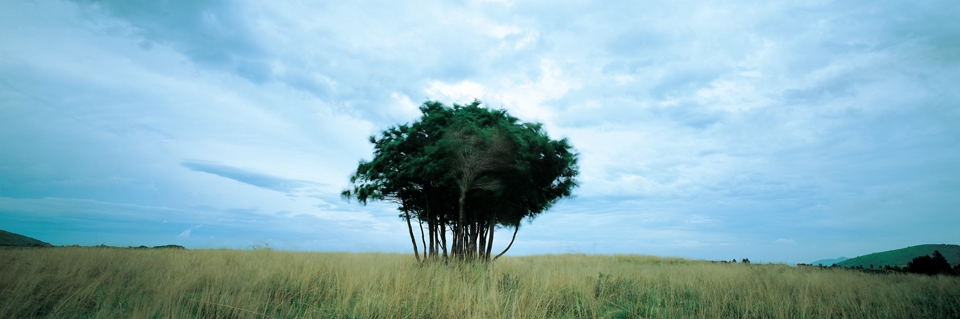 김영갑 작가 작품. 국립제주박물관 제공