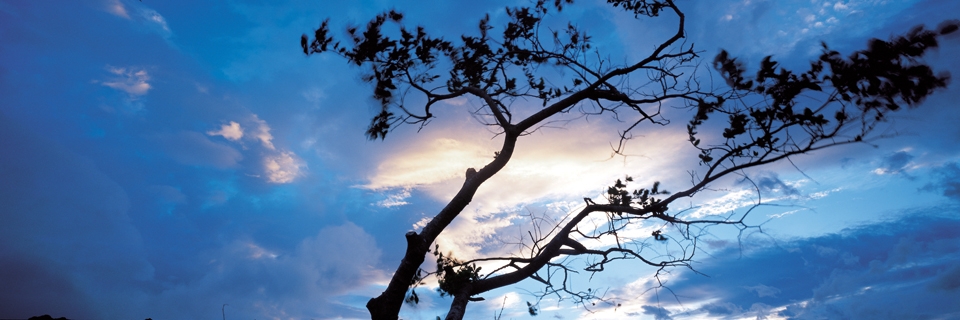 김영갑 선생의 대표작품. 국립제주박물관 제공