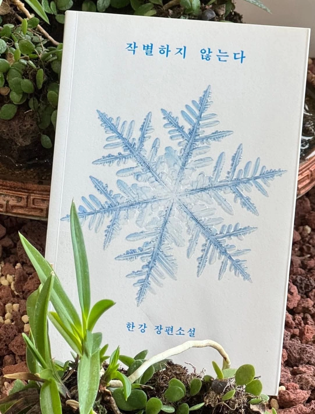 오영훈 제주지사가 페이스북에 올린 전미도서비평가협회(NBCC)상을 받은 한강의 ‘작별하지 않는다’ 책. 오영훈 제주지사 페이스북 캡처