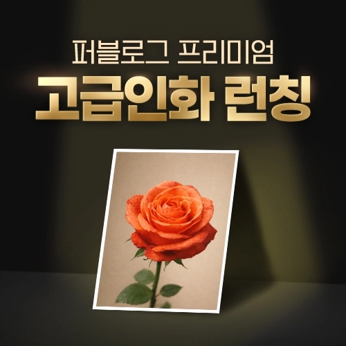 (사진=퍼블로그 제공)