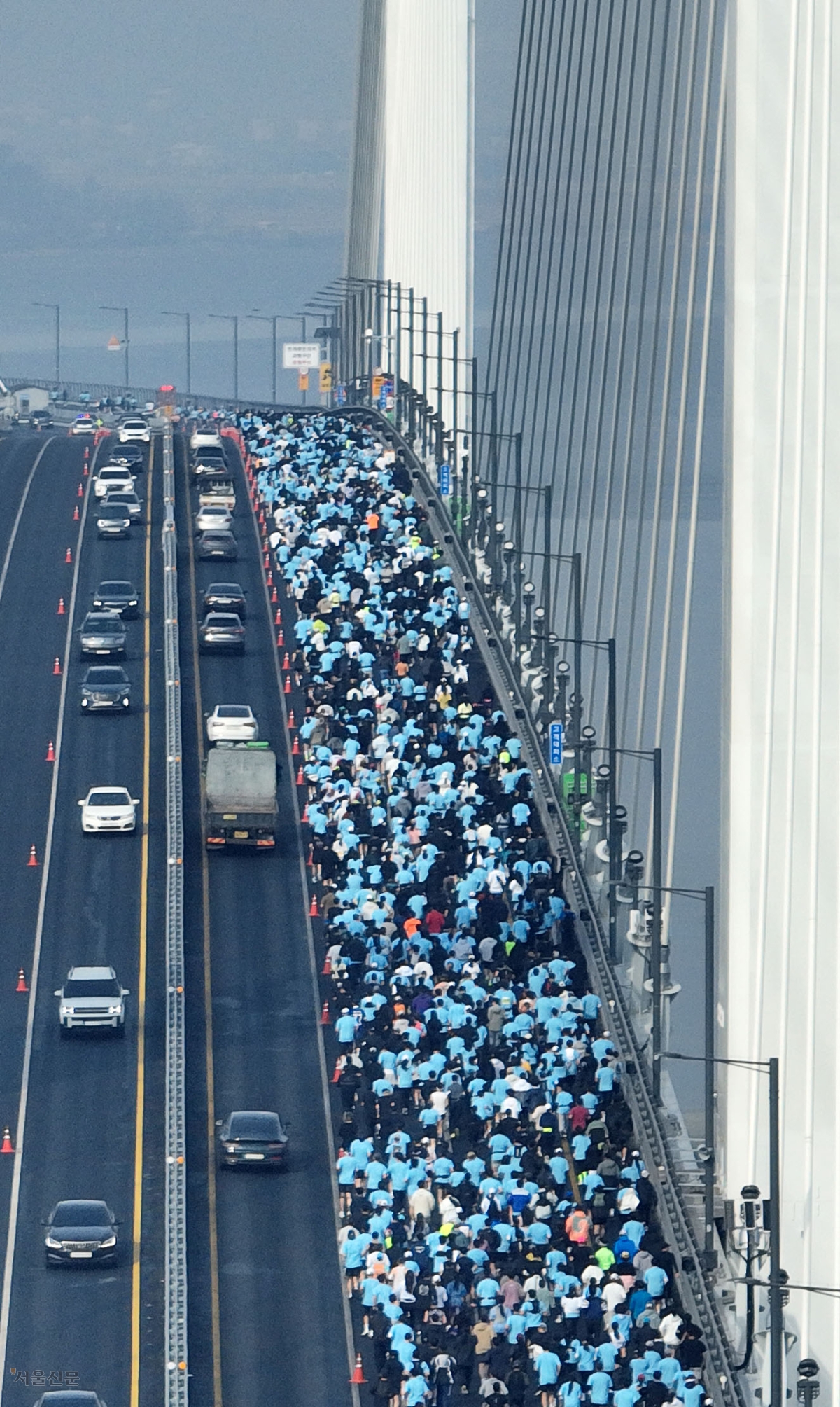 바다 위를 맘껏 달려‘봄’