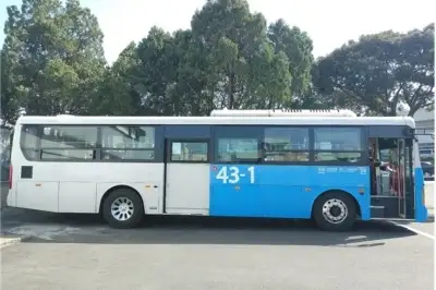 4·3 지방공휴일 맞아… 급행·리무진 포함 제주 모든 시내버스 무료 운행