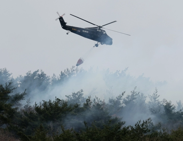 울산 산불 진화. 서울신문DB