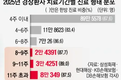 “경상인데 300일 치료 1736만원”… ‘8주룰’ 공백에 보험료 부담↑