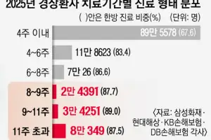 “경상인데 300일 치료 1736만원”… ‘8주룰’ 공백에 보험료 부담↑