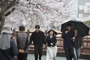 벚꽃과 봄비
