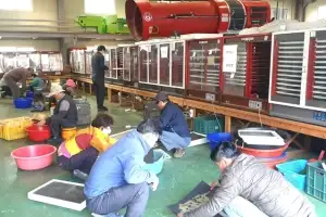 못자리 늦추고 햇빛 막고… 이상기후 대비하는 지자체