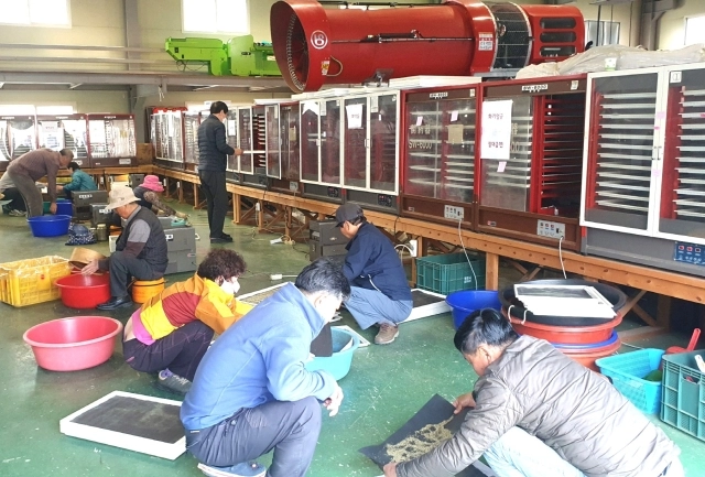 경북 영천시농업기술센터가 운영 중인 과수꽃가루은행의 꽃가루 채취 작업 모습. 영천시 제공