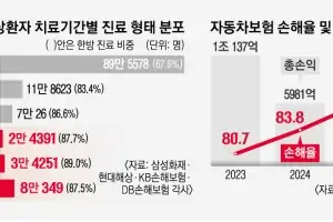 경상인데 1년 치료… 8주룰 공백, ‘나이롱’ 살판, 보험료 살얼음판