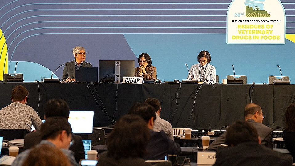 호서대  정상희 교수가  제28차 국제식품규격위원회 동물약품잔류분과위원회에서 ‘식욕부산물의 동물약품 관련 연구 결과’를 발표하고 있다. 호서대 제공