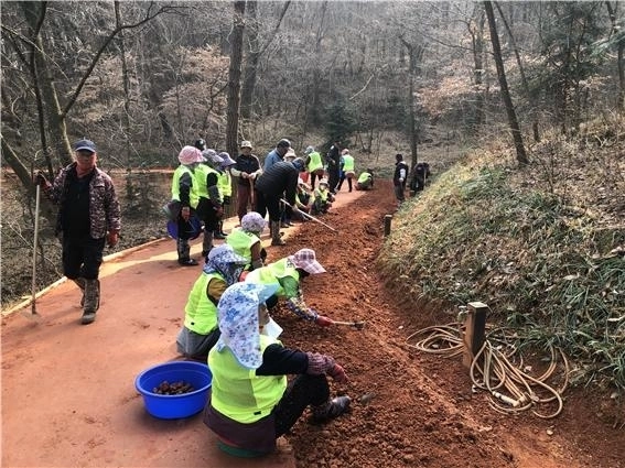 전남 영광 ‘물무산 행복숲 맨발 황톳길’ 재개장을 앞두고 보강 작업을 하고 있다. (영광군 제공)