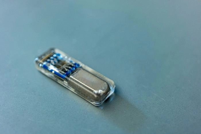 ‘호빗’이라고 이름붙여진 초소형 ‘살아있는 약국’ 시스템은 피부 밑에 이식하면 다양한 약물을 일정 시간 동안 꾸준히 체내에 투입해 주사를 맞거나 약을 먹는 불편함을 줄여준다.  미국 라이스대 제공