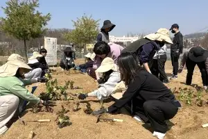 텃밭과 마음 같이 돌봐요…관악구, ‘청년 치유 힐링팜’ 본격 개장