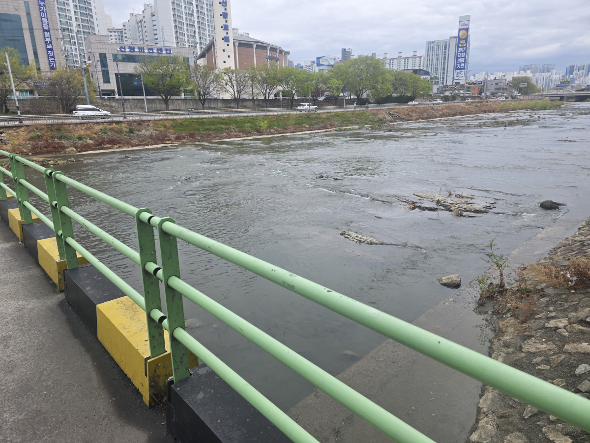 대구 북구 칠성동에 있는 잠수교 아래에서 31일 오전 10시 30분쯤 시신이 담긴 캐리어가 발견돼 경찰이 수사에 나섰다. 2026. 3. 31. 대구 민경석 기자