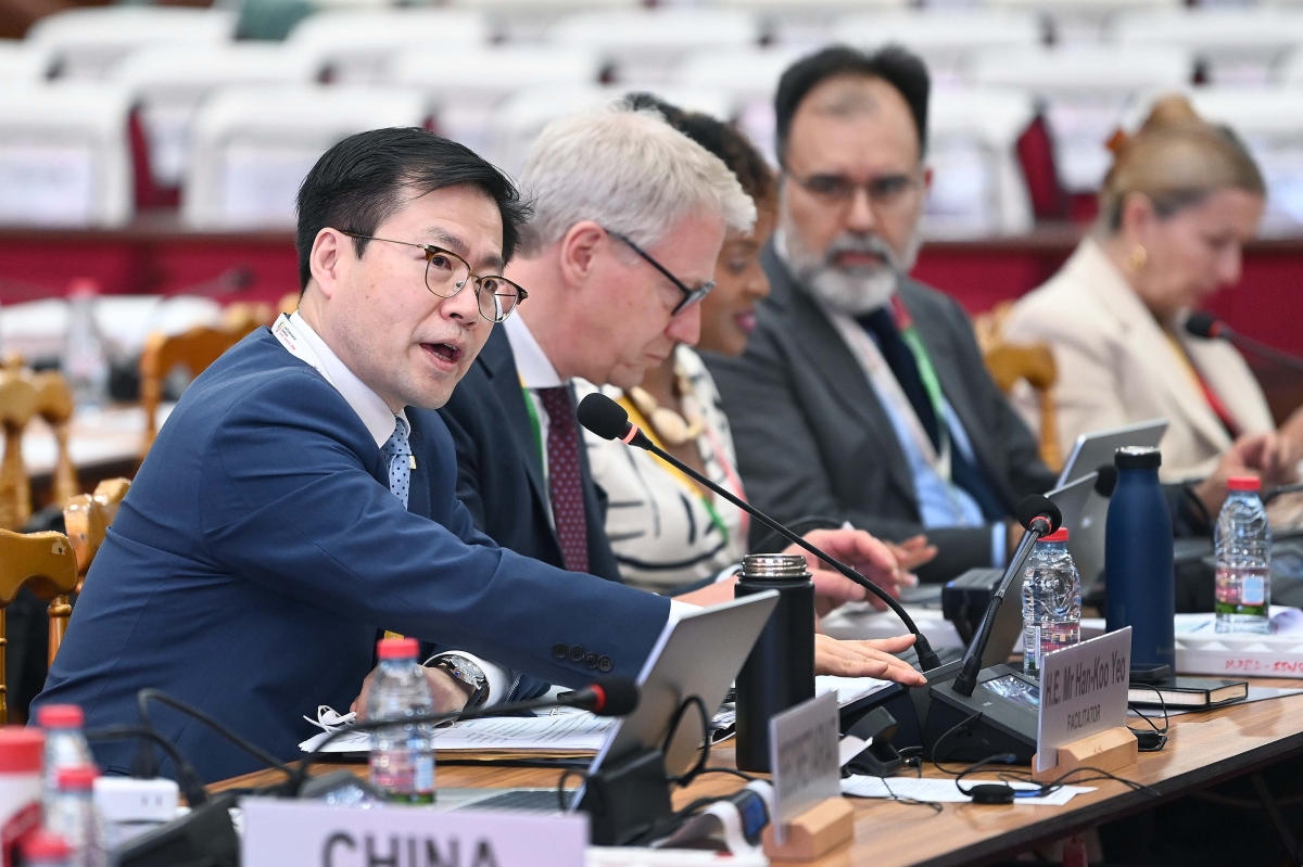 여한구 통상교섭본부장, WTO 개혁 그룹별 세션 주재
