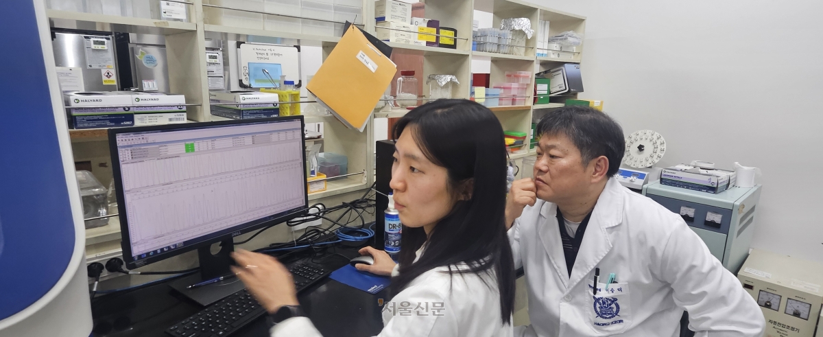 서울대 의대 법의학교실의 이숭덕(오른쪽) 교수와 조소희 교수가 자동염기서열 분석기에서 유전자 검사 결과를 확인하고 있다. 제주 강동삼 기자