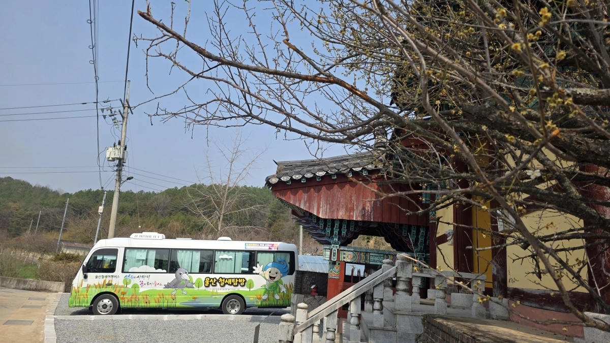 울산 철새여행버스. 울산시 제공