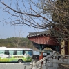 철새 보고 ‘왕사남’ 엄흥도 원강서원도 가고… 울산 철새여행버스 운행