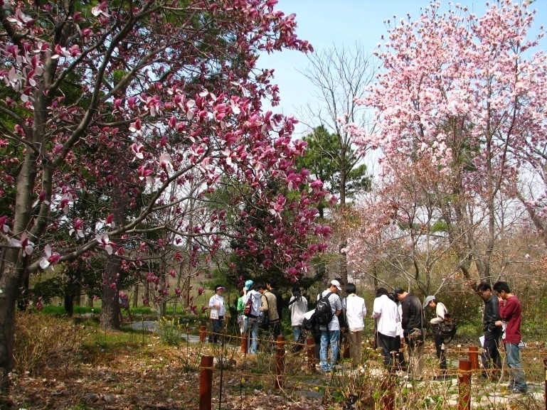 경북 포항시 북구 청하면 기청산식물원을 찾은 방문객들. 포항시 제공