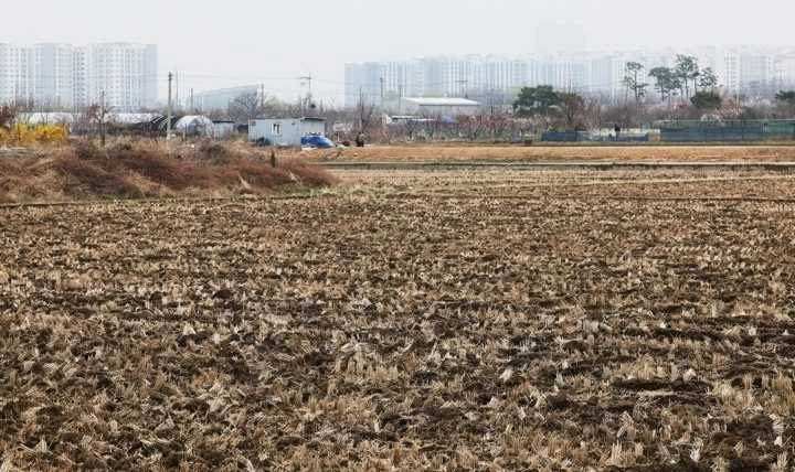 당정이 전국 농지 소유자를 대상으로 전수조사 방침을 확정했다. 투기 대상 농지를 가려내고 관리를 강화하는 차원에서 추진하는 사상 첫 조사다. 올해 실시하는 1단계 조사는 ‘1996년 이후 취득 농지’, 내년에 추진하는 2단계 조사는 ‘1996년 이전 취득 농지’를 대상으로 한다. 사진은 1일 경기도내 한 농지 모습. 2026.4.1  연합뉴스