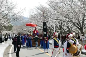 ‘벚꽃 명소’ 영암 왕인문화축제 4일 개막