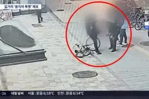 thumbnail - “자전거로 들이받고 발길질” 시민 무차별 폭행…출동 경찰관까지 때렸다