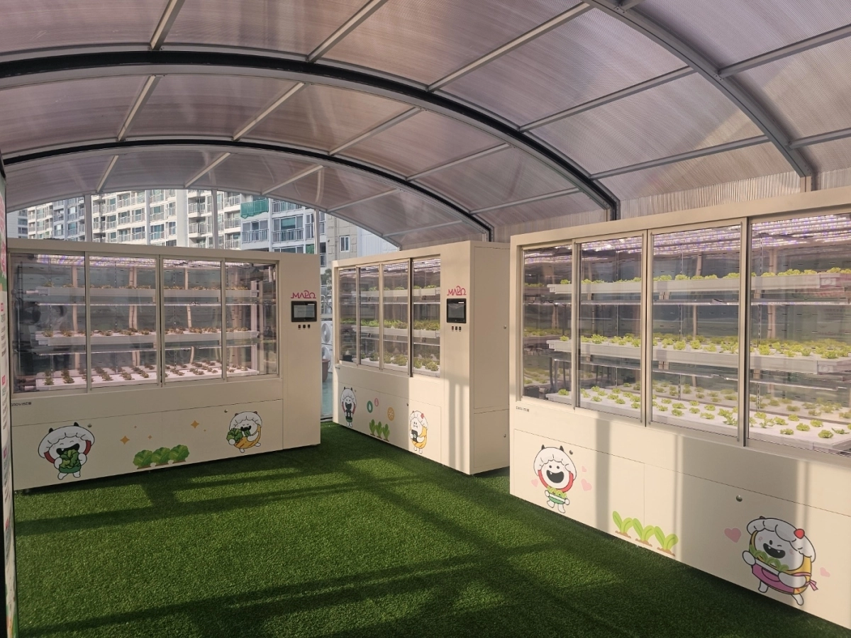 서울 마포구 아현동 주민센터 옥상에 마련된 스마트팜의 모습. 마포구 제공
