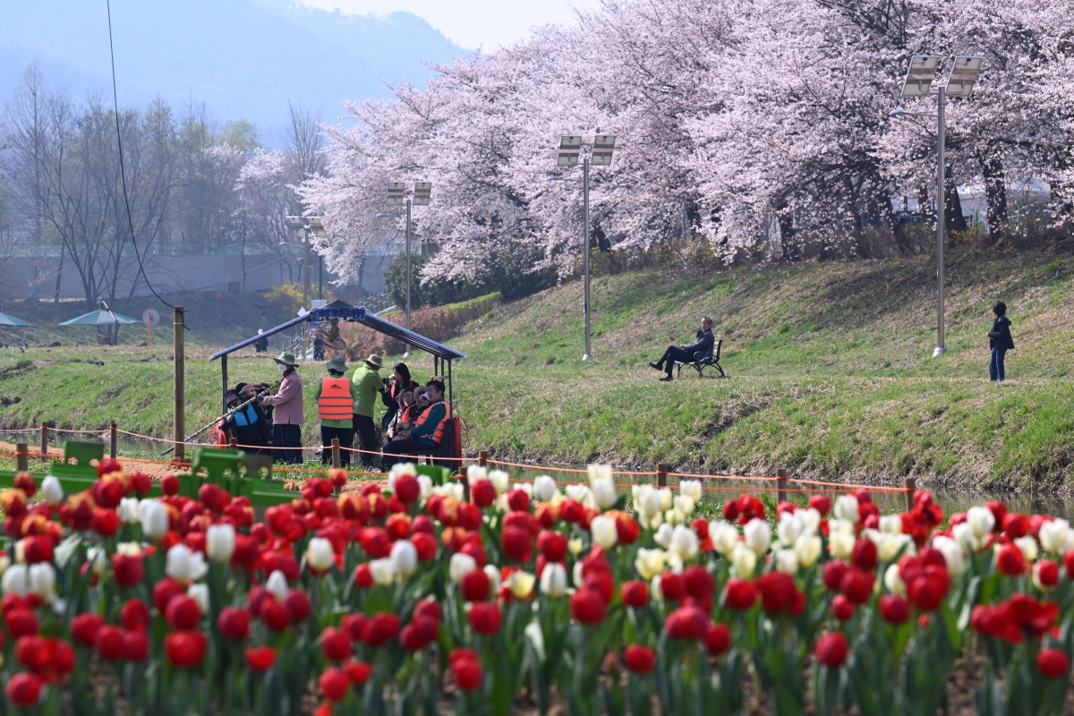 2일 오전 서울 서초구 양재천에서 열린 ‘양재천 천천투어 어르신 하루여행’에 참가한 어르신들이 도심 속 이색 뗏목 체험을 하고 있다. 서초구는 4월부터 10월까지 양재천에서 자연을 체험하며 여유로운 시간을 즐길 수 있는 생태체험 프로그램 ‘양재천 천천투어’를 매일 2회(오전 10시, 오후 2시) 운영한다고 밝혔다. 2026.4.2 도준석 전문기자